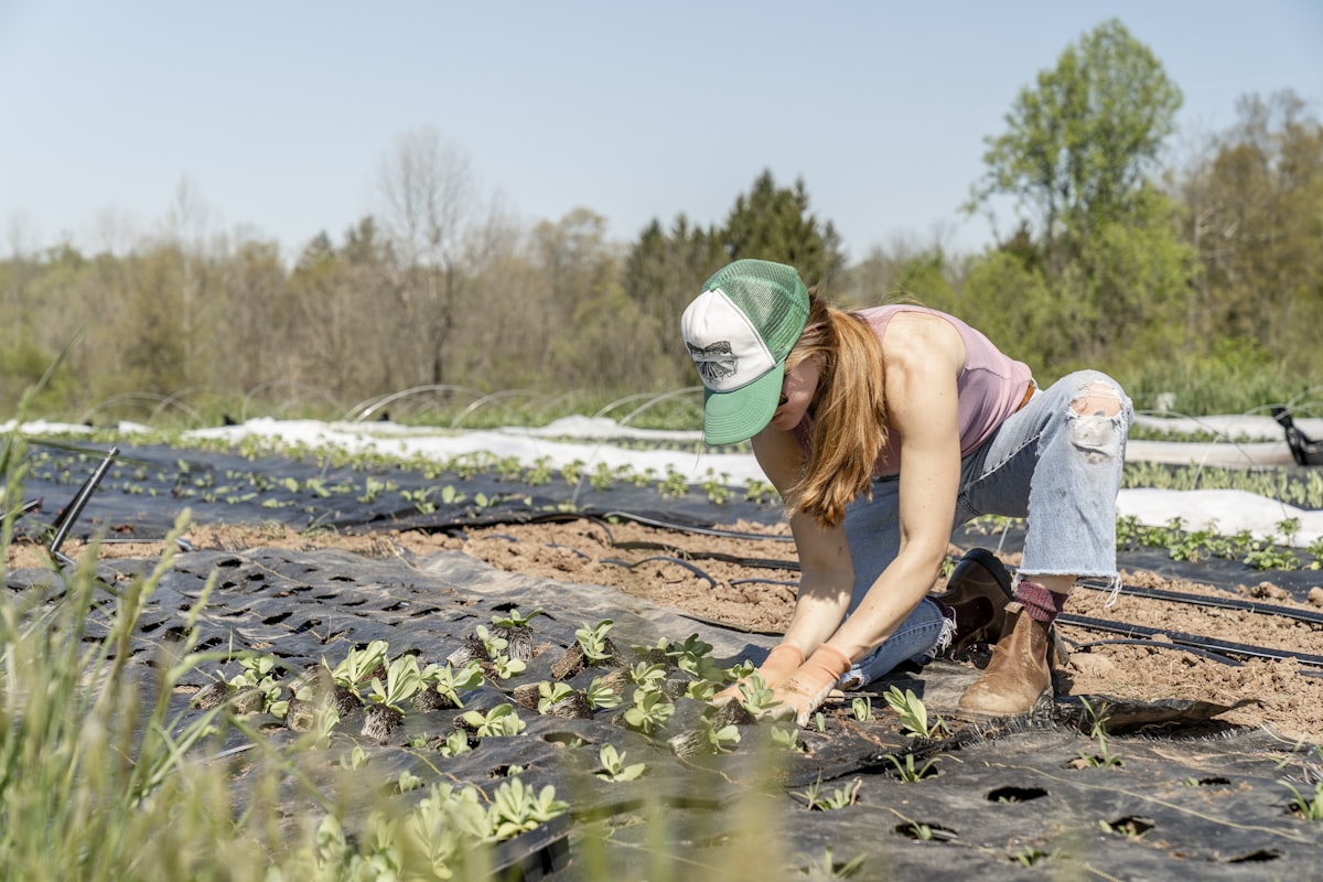 Farm Worker (Fruit & Vegetable Harvest) – Italy