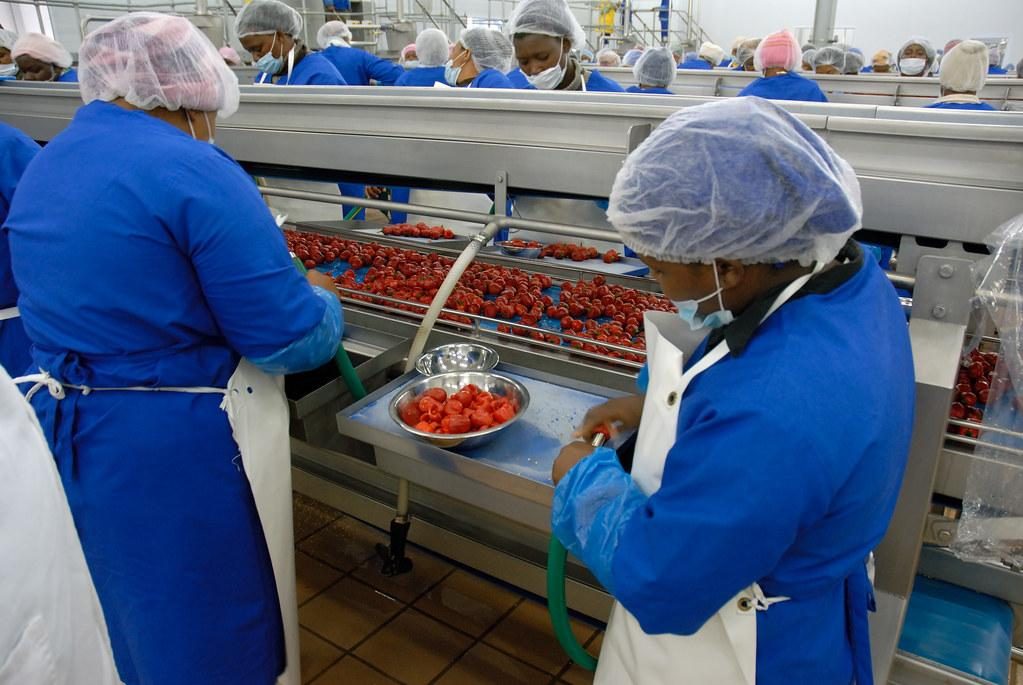 Food Packaging Line Worker
