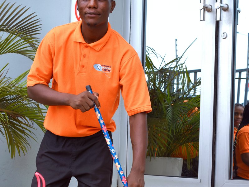 Cleaner / Janitor (Reinigungskraft)