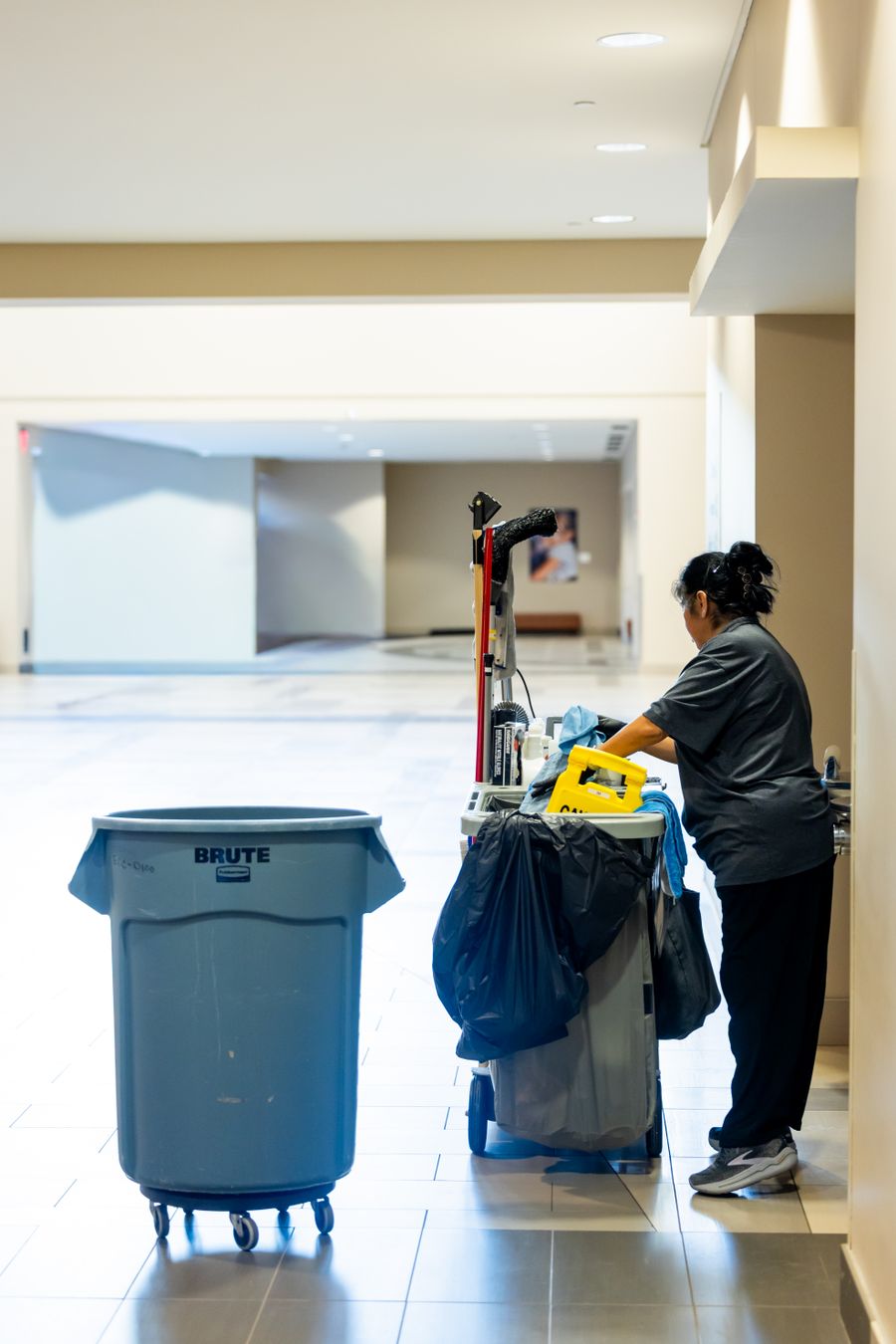 Cleaner / Janitor