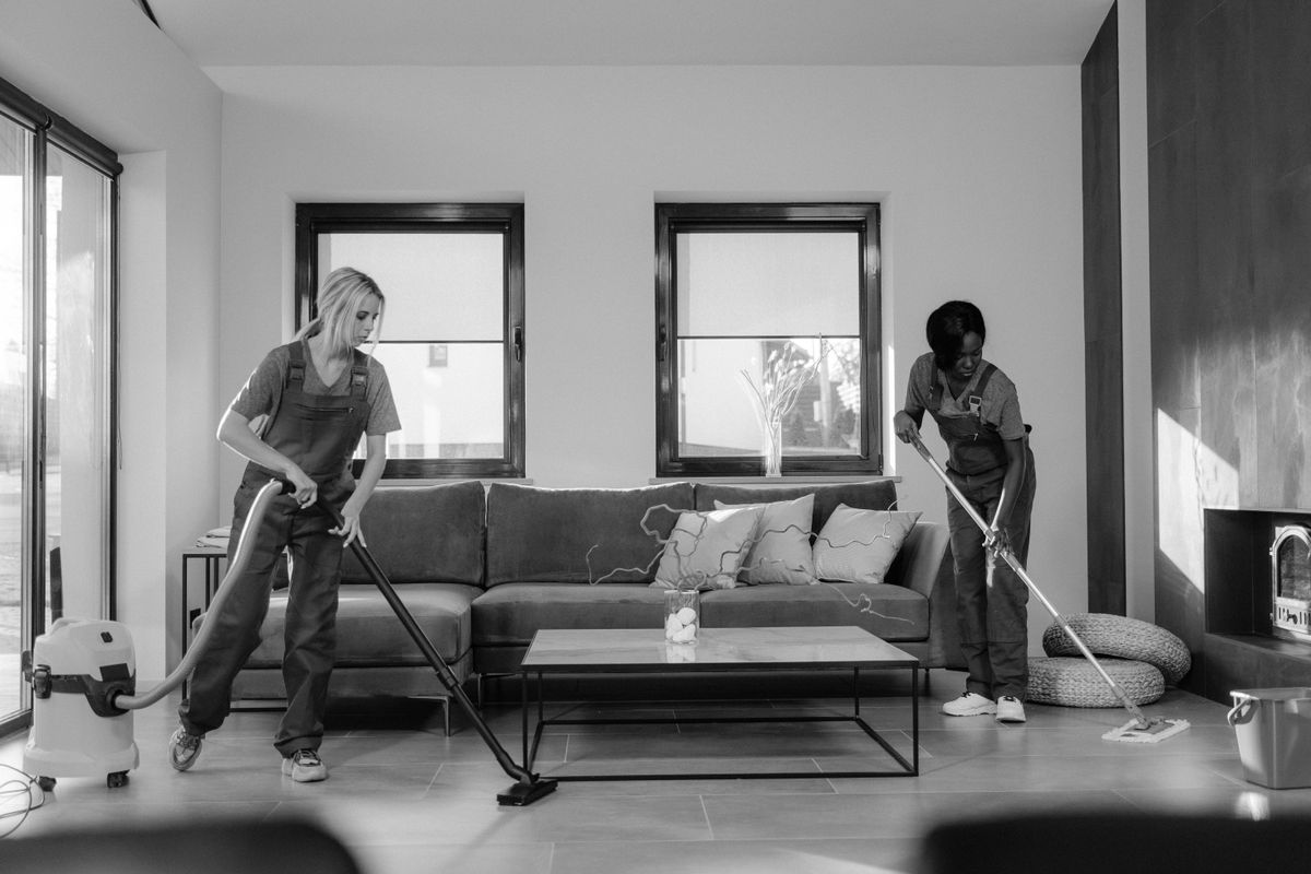 Cleaner / Janitor