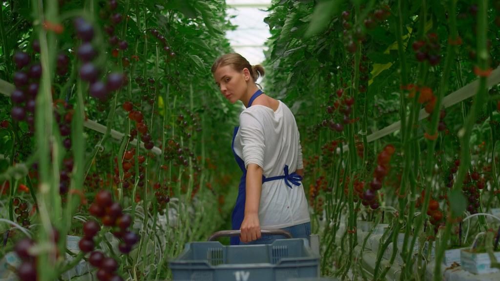 Farm Worker