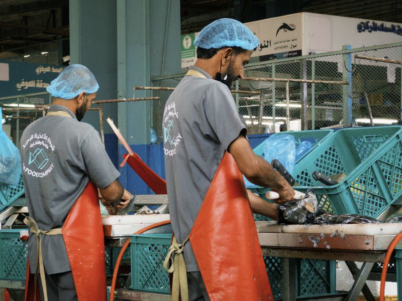 Fish Factory Worker
