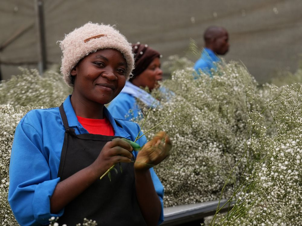 Flower Farm Worker (Greenhouse / Fields)